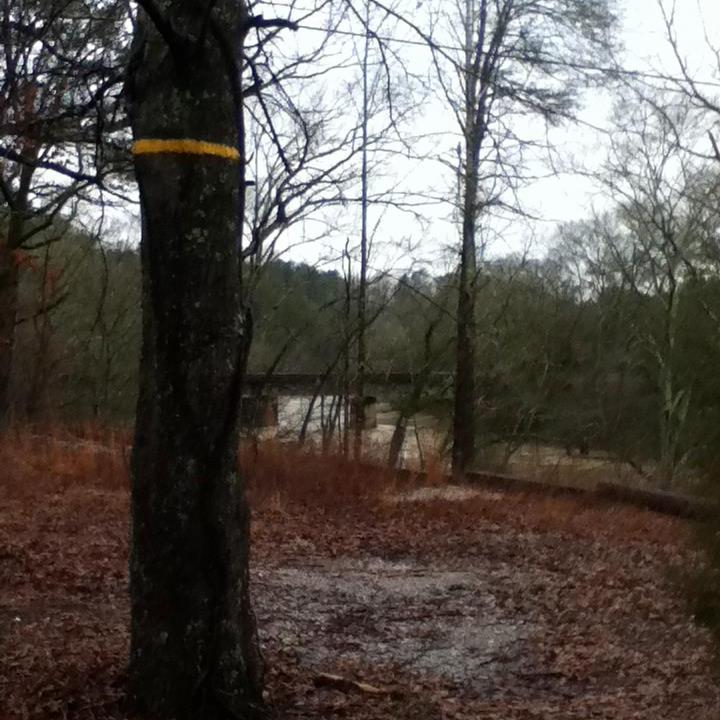 The yellow mark on the tree is the high water mark from the flood of 1867...so this flooding isn't quite as bad.... The Western and Atlantic RR bridge is in the background.
