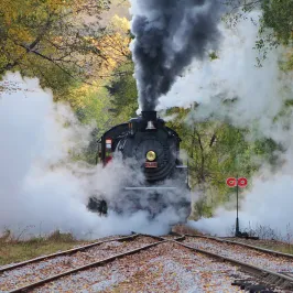 Tennessee's Fall Train Journeys: Experience Autumn Anew!