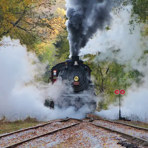 Tennessee's Fall Train Journeys: Experience Autumn Anew!