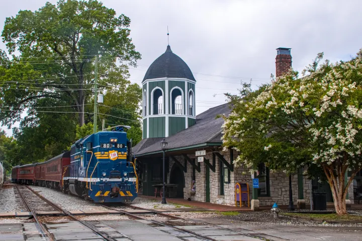 Georgia Train Rides