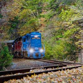 a train traveling down train tracks near a forest
