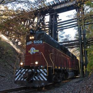 Golden Leaves by Train: Tennessee's Best Fall Views.