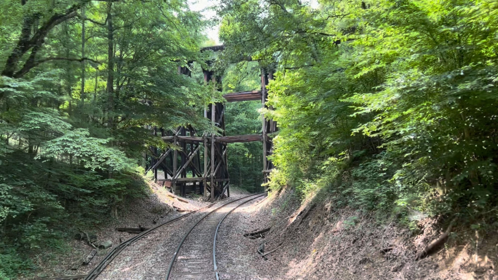Hiwassee Loop is an amazing train ride that takes you through the beautiful mountains of Tennessee.