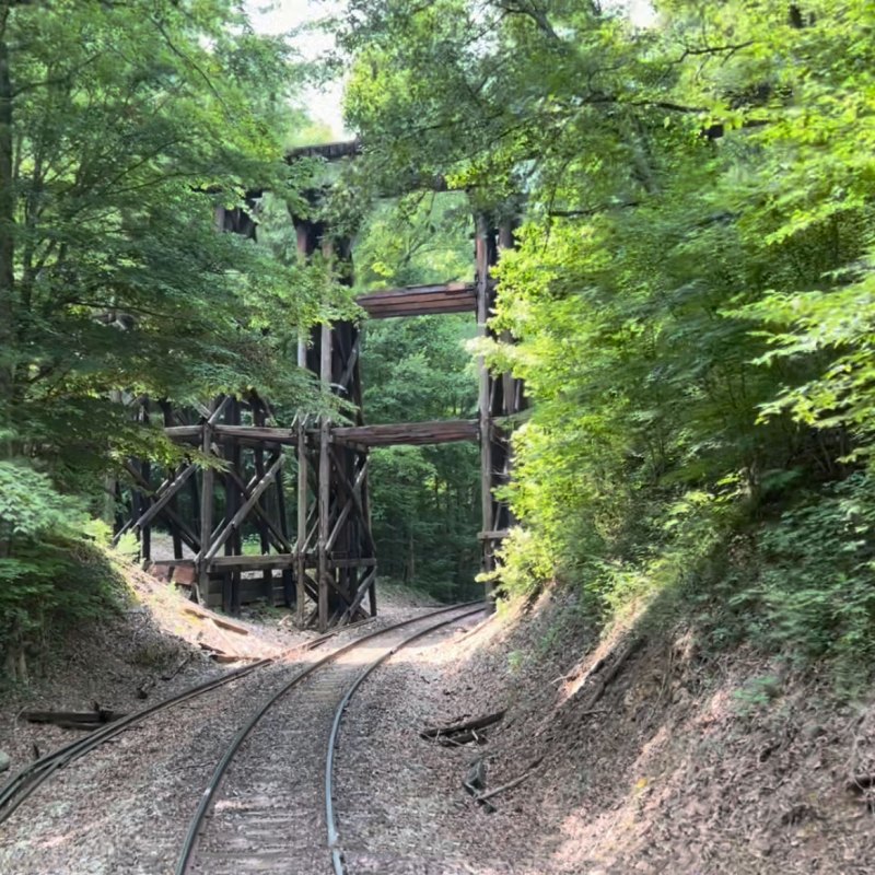 Hiwassee Loop is an amazing train ride that takes you through the beautiful mountains of Tennessee.