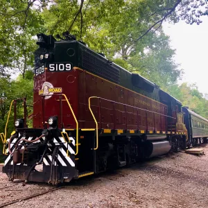 Fall Foliage Express: Best Train Views in Tennessee!