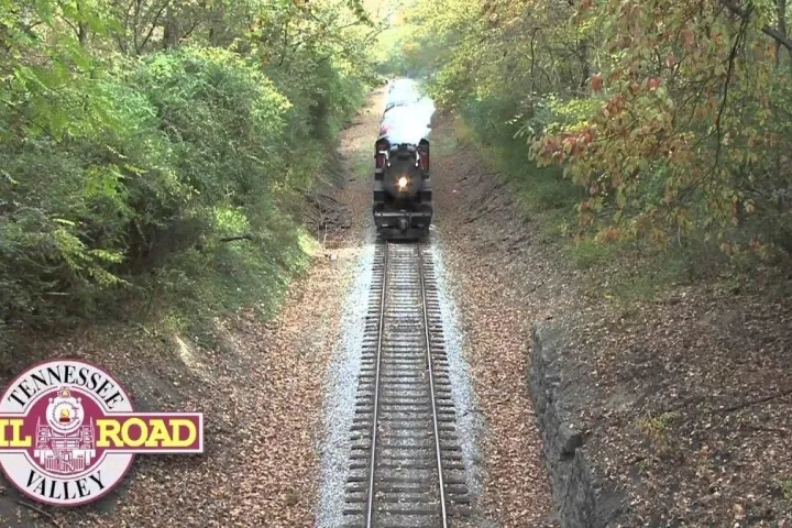 a train traveling down train tracks near a forest