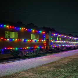 Brighten Your Holidays: Join the Luminescent Train Journey!