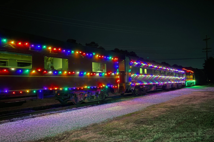 Brighten Your Holidays: Join the Luminescent Train Journey!