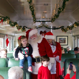 Journey through Hiwassee Gorge with Santa's Festive Train!