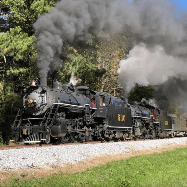 Steam-Driven Dreams: Georgia's Foothills Come Alive on the Summerville Route.