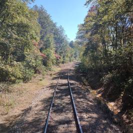 Whisk Away on Rails: Fall’s Best in Tennessee Beckons!