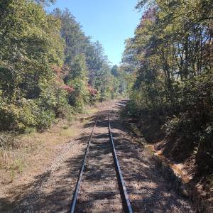 Whisk Away on Rails: Fall’s Best in Tennessee Beckons!