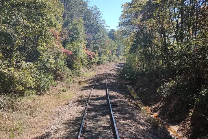 Whisk Away on Rails: Fall’s Best in Tennessee Beckons!