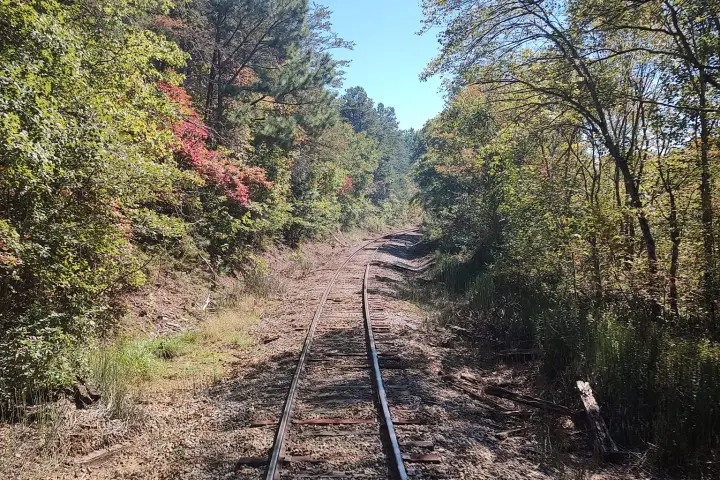 The Tennessee Valley Railroad Museum offers a scenic train ride through the Hiwassee Fall region. The fall colors are a sight to see, and the train ride is a great way to experience them.