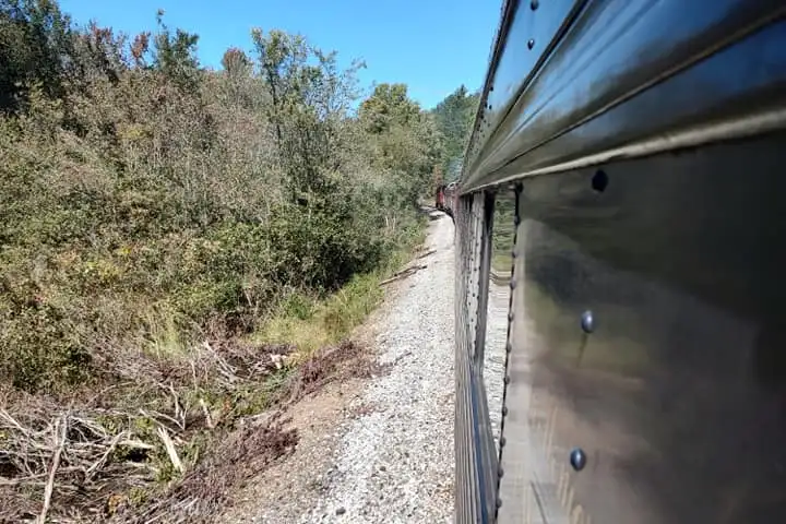 The fall colors are at their peak in the forests near the Hiwassee River, making it a perfect time for a scenic rail adventure. Whether you're looking for a relaxing trip through the beautiful scenery or an exciting journey through history, the Tennessee Valley Railroad Museum has something for everyone.