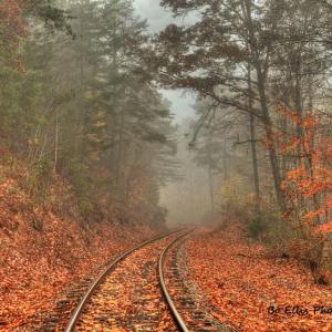 Discover Tennessee's Fall Colors on a Train Adventure!