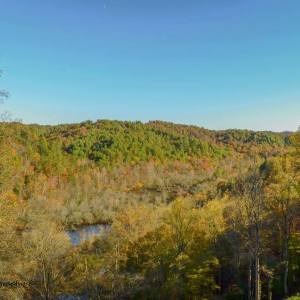 Experience Golden Hues: Train Rides Through Tennessee.