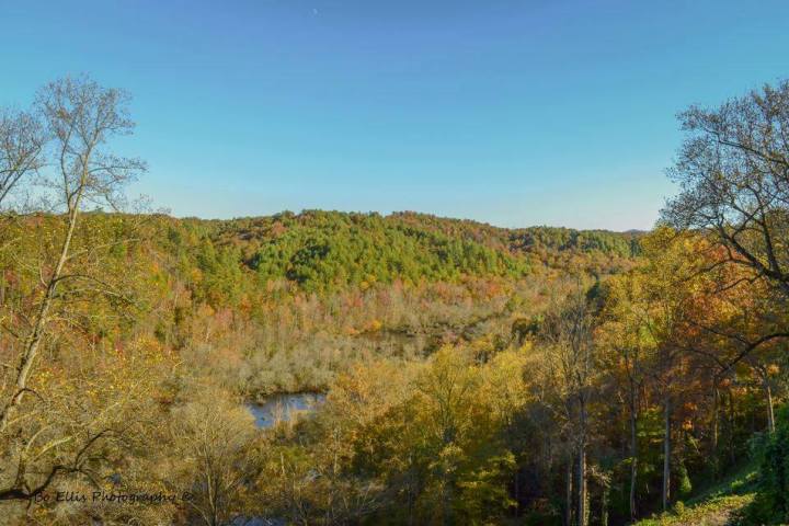 Experience Golden Hues: Train Rides Through Tennessee.