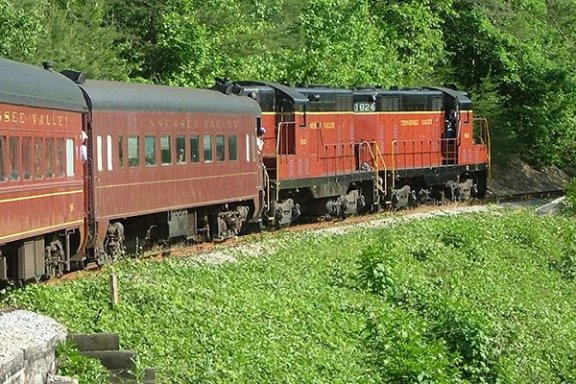 Tennessee Valley Railroad diesel train in the forest