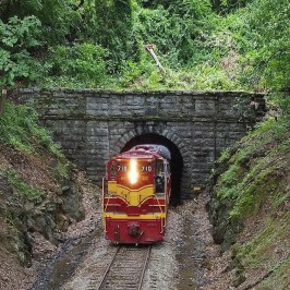 a train traveling down train tracks near a forest
