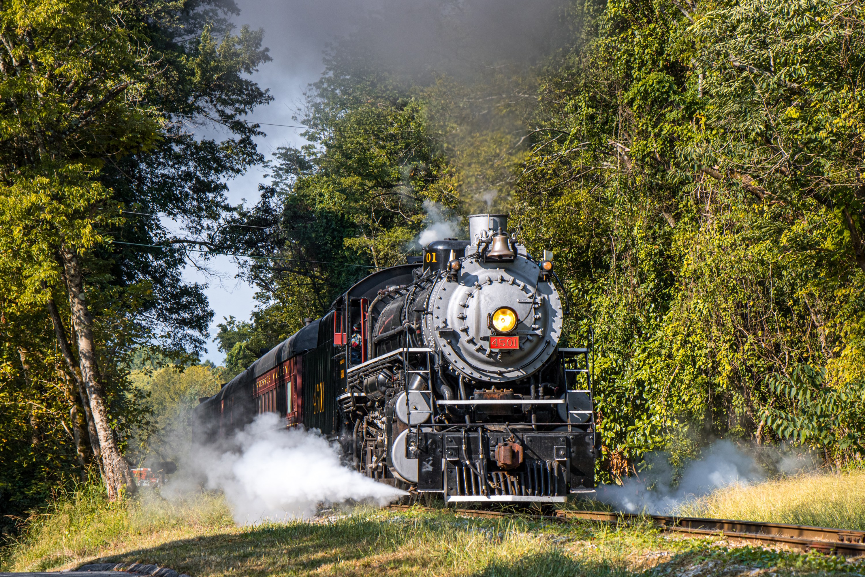 Summerville Steam Special | Tennessee Valley Railroad Museum