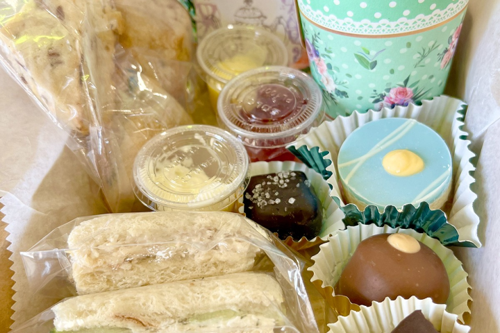 Full-Day Steam Train Ride to Summerville, GA – Dining Options, Dome Views & More