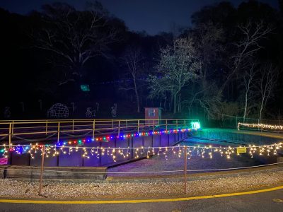 Holiday Lights Train: A Festive 6-Mile Journey Through History & Celebration