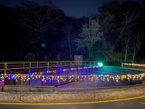 Holiday Lights Train: A Festive 6-Mile Journey Through History & Celebration