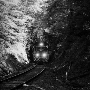 Chattanooga to Delano: A Rail Journey Through Fall.