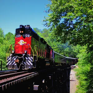 Chattanooga Rides: Embrace Tennessee's Autumn Magic.