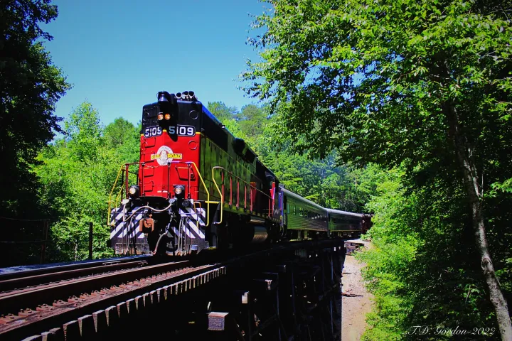 Chattanooga Rides: Embrace Tennessee's Autumn Magic.