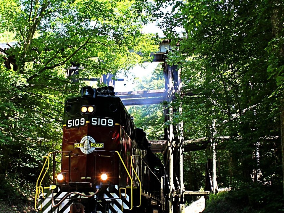 The Hiwassee Chronicles: A Scenic Voyage on Tennessee's Famed Rail Line