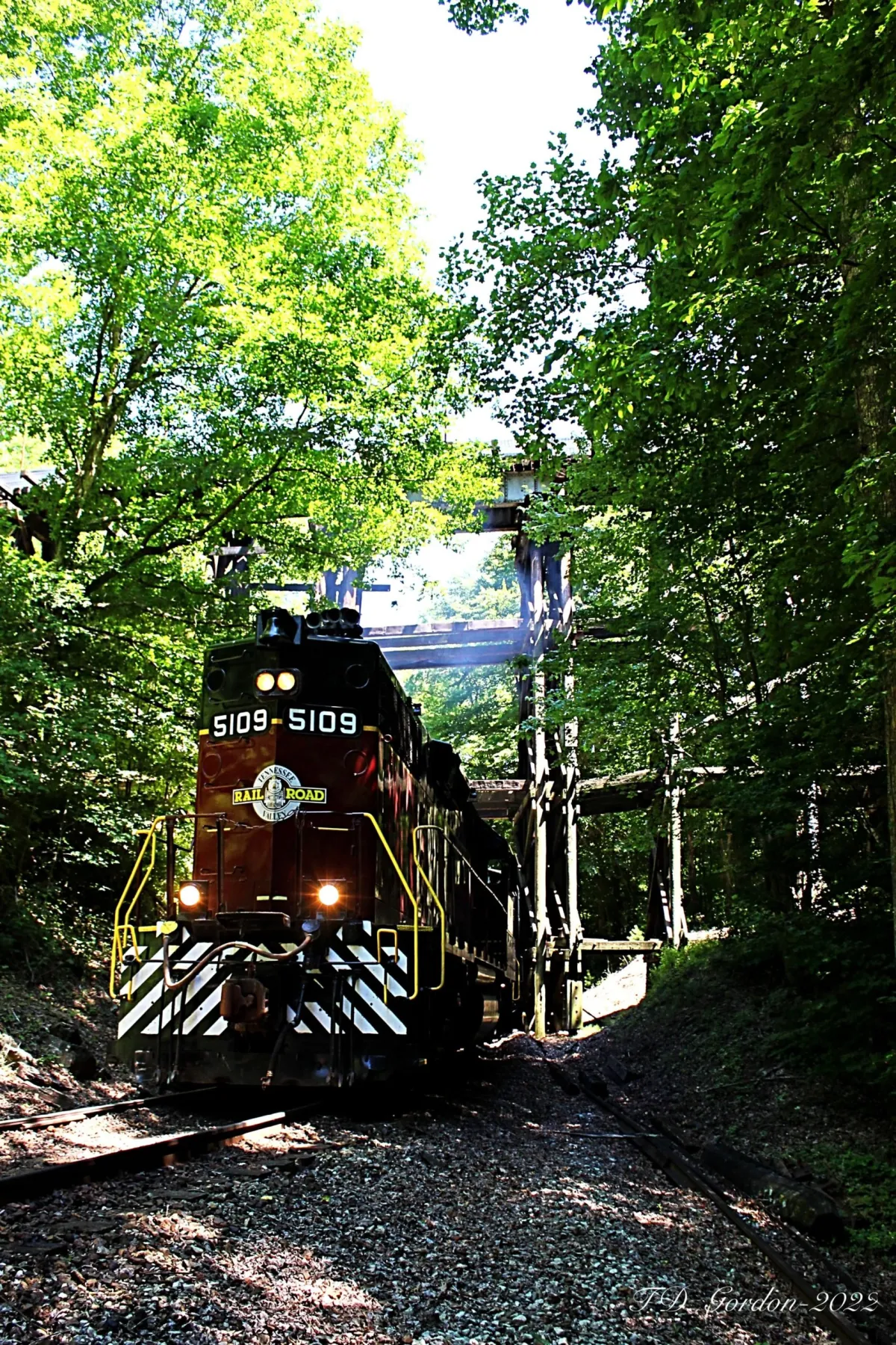 The Hiwassee Chronicles: A Scenic Voyage on Tennessee’s Famed Rail Line The Hiwassee Chronicles: A Scenic Voyage on Tennessee's Famed Rail Line