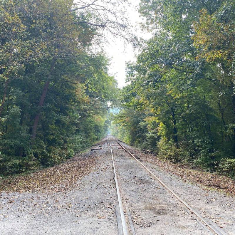 Experience Autumn: Hiwassee River Gorge Train Adventure