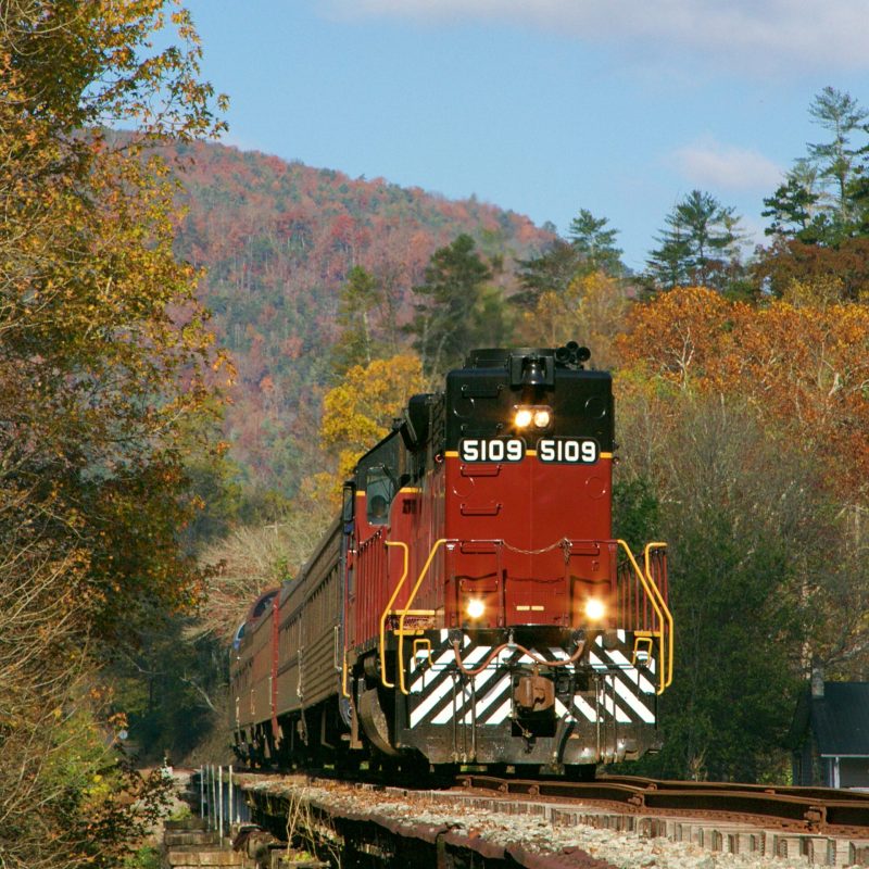 Unwind This Weekend: Scenic Train Rides and Autumn Views.