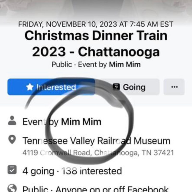 Navigating Scams: Ensuring Your Train Ticket is Legit.