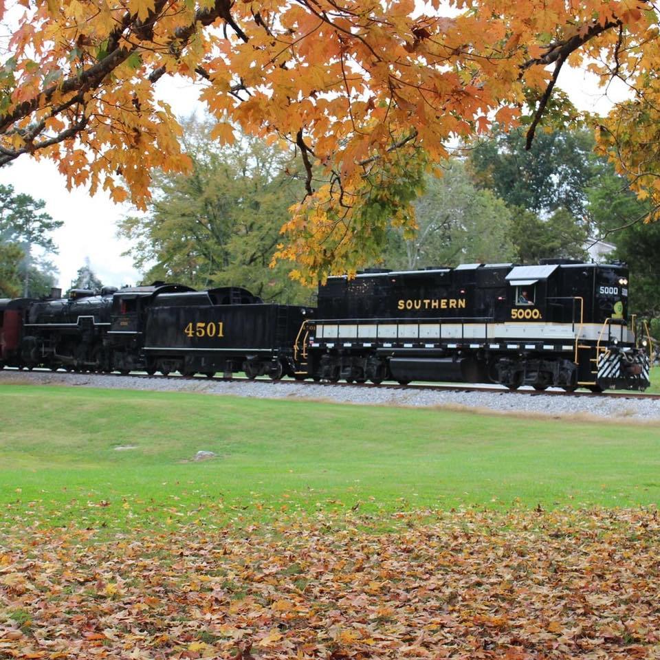 Scenic Train Journeys: Nature Meets History at TVRM