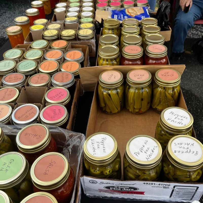 All Aboard: Experience History and Medieval Merriment in One Memorable Trip