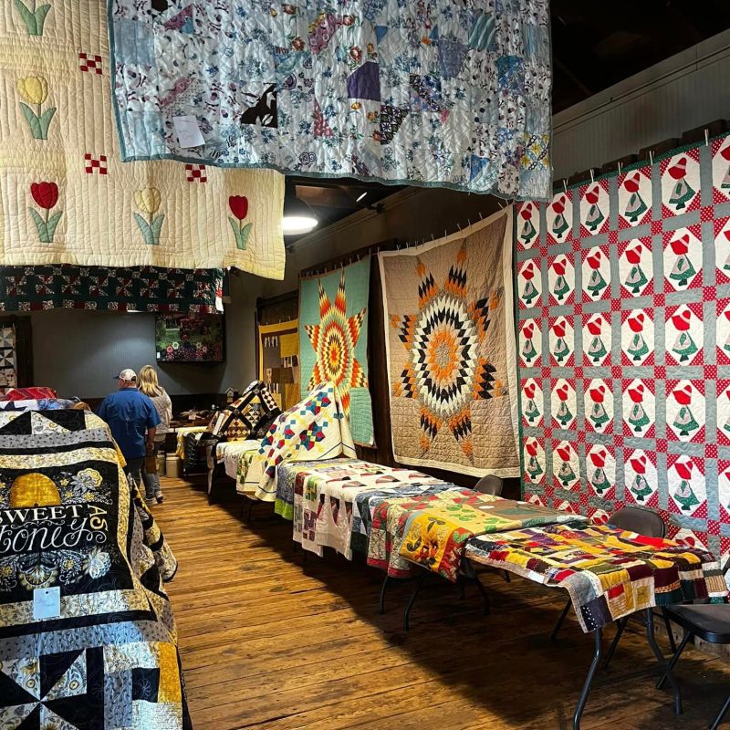 Sequoyah Quilt Show 2023: A Colorful Event at Summerville Depot
