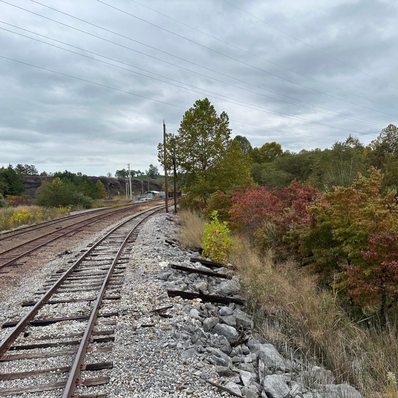 Nature’s Grand Show: Fall Foliage Train Rides Await