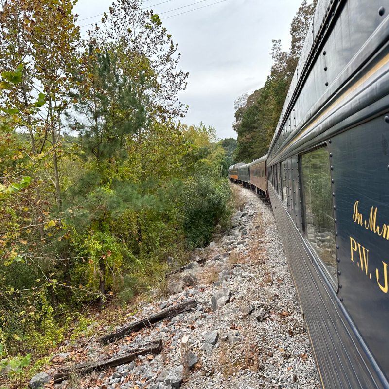 Golden Hues & Gourmet Bites: The Ultimate Fall Experience