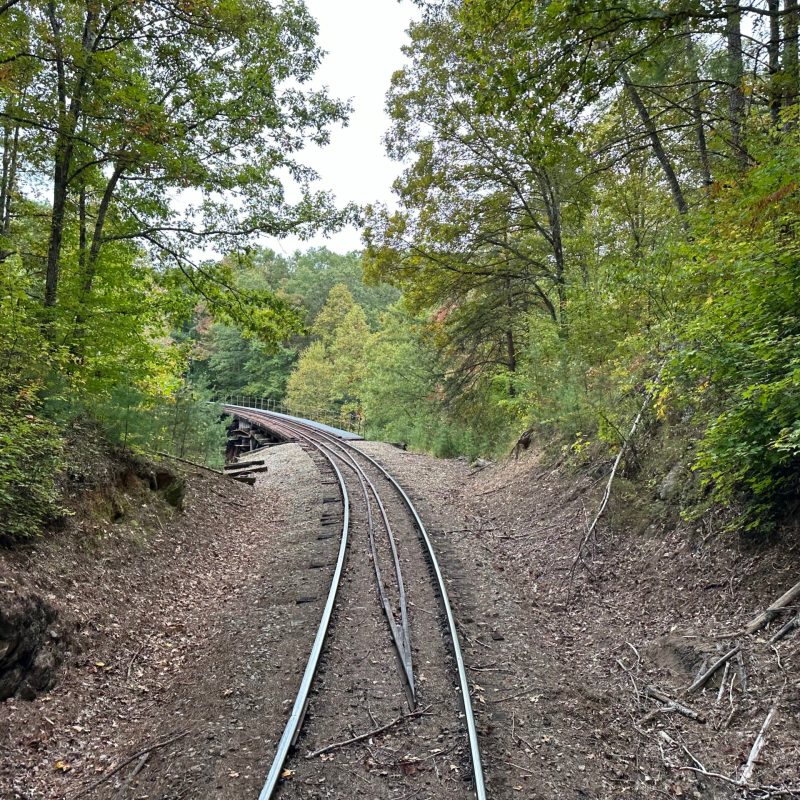 An Unforgettable Journey: Experience East Tennessee’s Autumn Colors with Every Train Ride