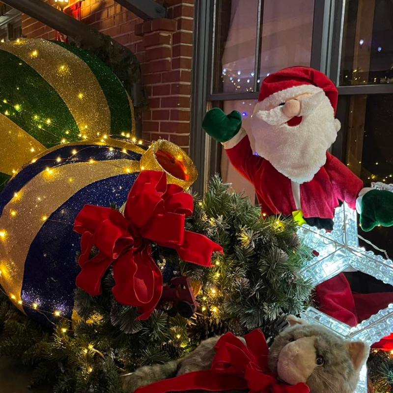 Experience the Holiday Spirit with Santa at TVRM