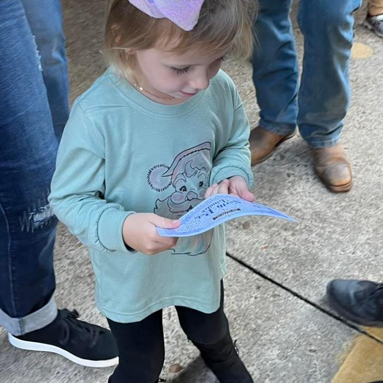 Experience Christmas Magic on the North Pole Limited!