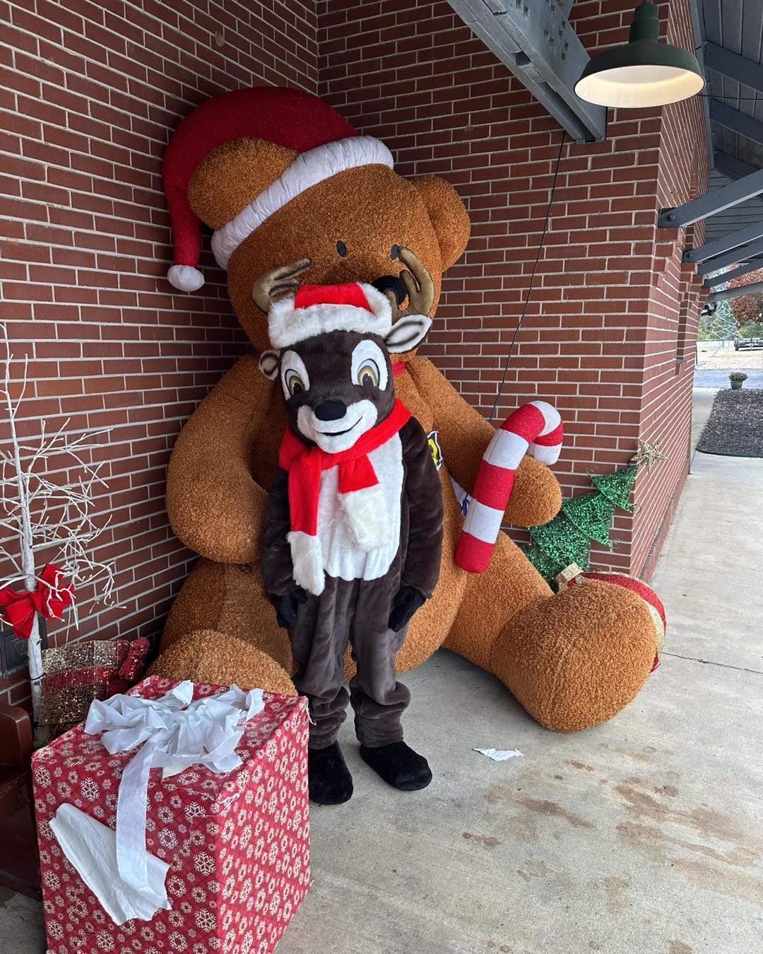 Experience Christmas Magic with Waffles at TVRM!