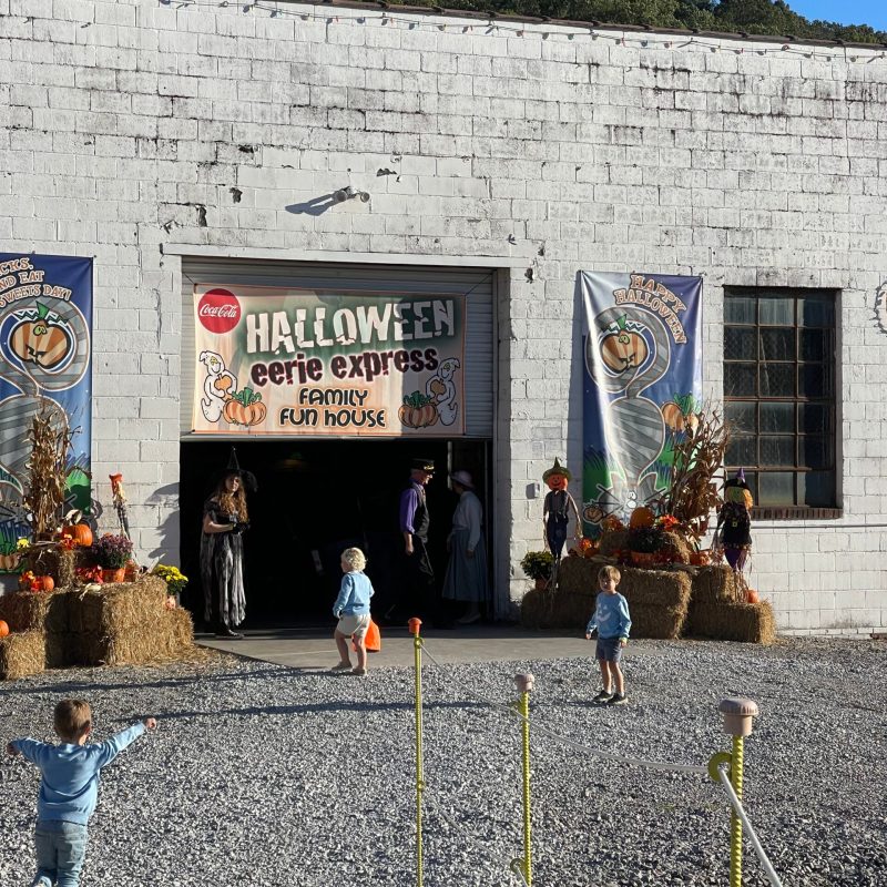 From Halloween to Holidays: Seasonal Celebrations at TVRM