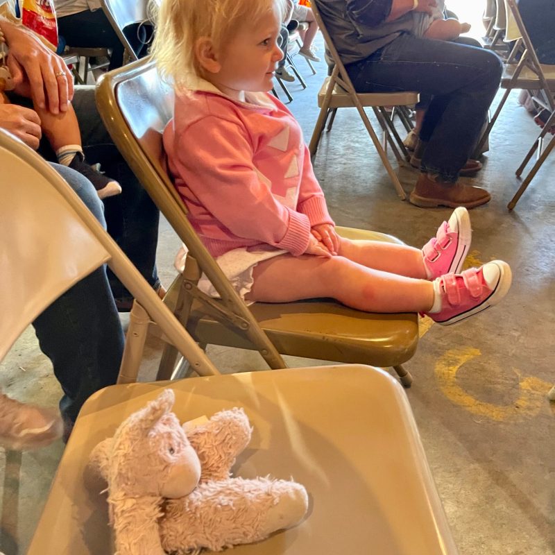 Riding the Rails into Fall: TVRM's Seasonal Splendor