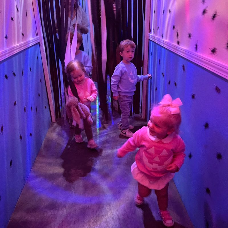 Thanksgiving on Tracks: TVRM's Festive Journey