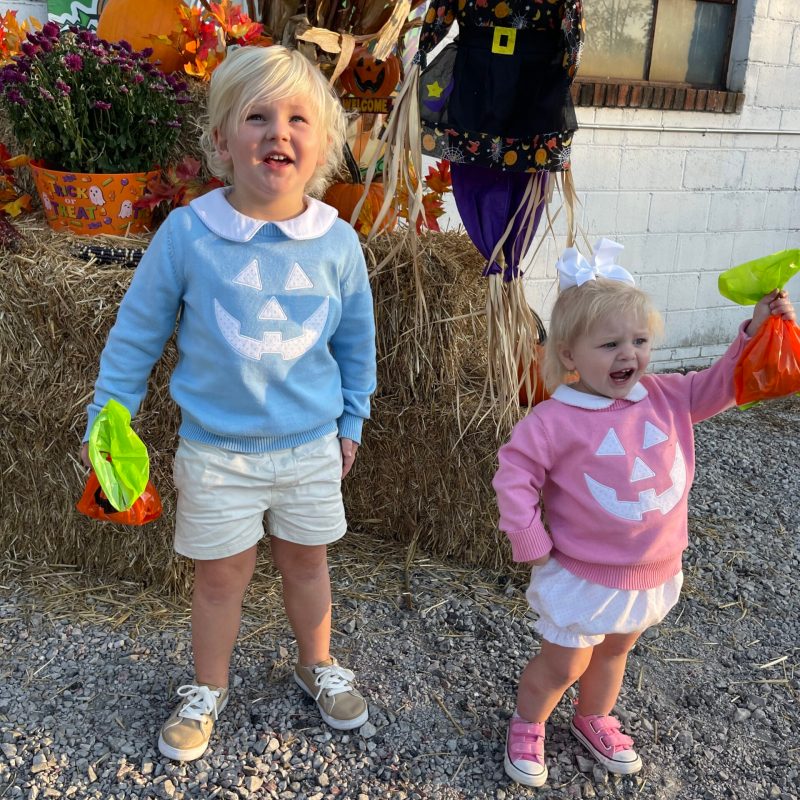 Experience the Wonders of Fall with TVRM's Rail Excursions