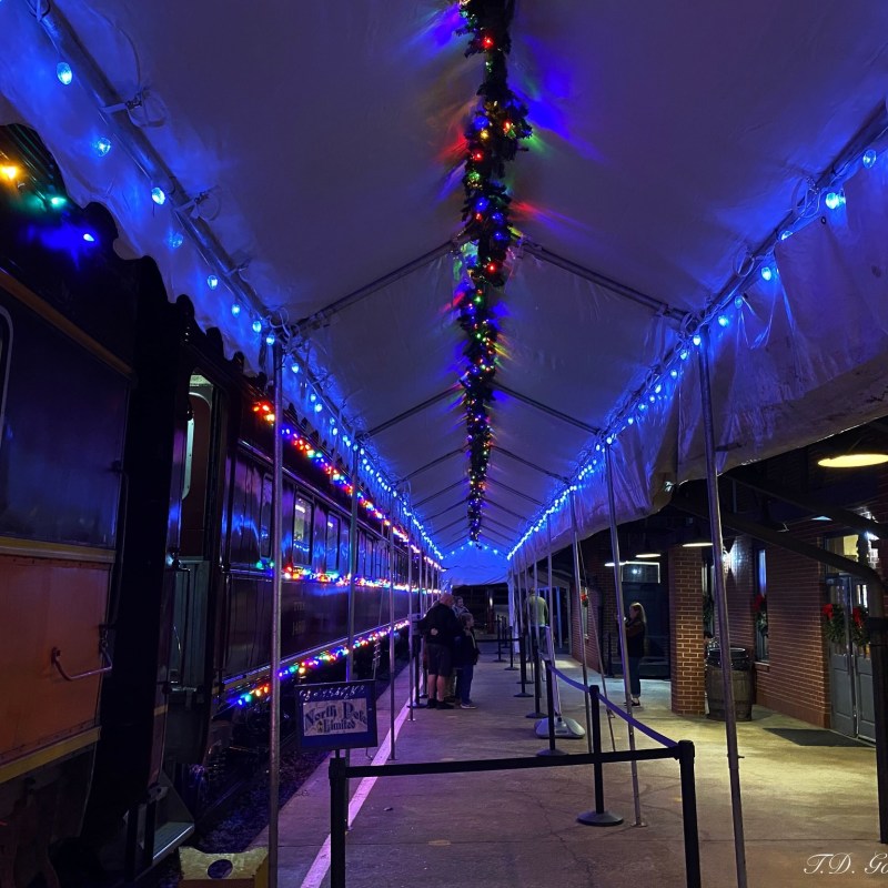 Book Festive Light Train Rides Now!